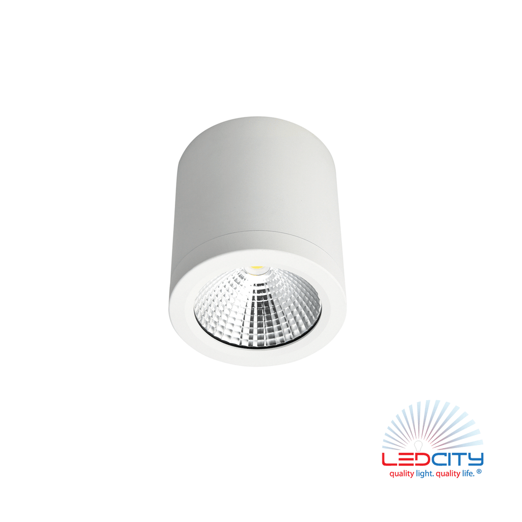 CL10 LED Ceiling Light (10W)