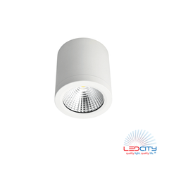 CL10 LED Ceiling Light (10W)