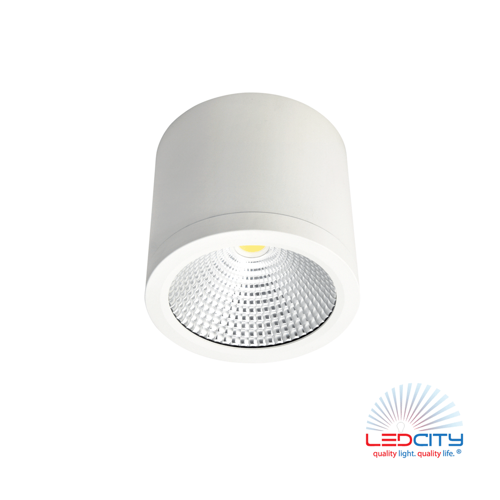 CL10 LED Ceiling Light (25W)