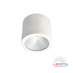 CL10 LED Ceiling Light (25W)
