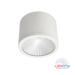CL10 LED Ceiling Light (35W)