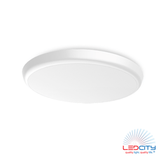 CL13 LED Ceiling Light (12" / 25W)
