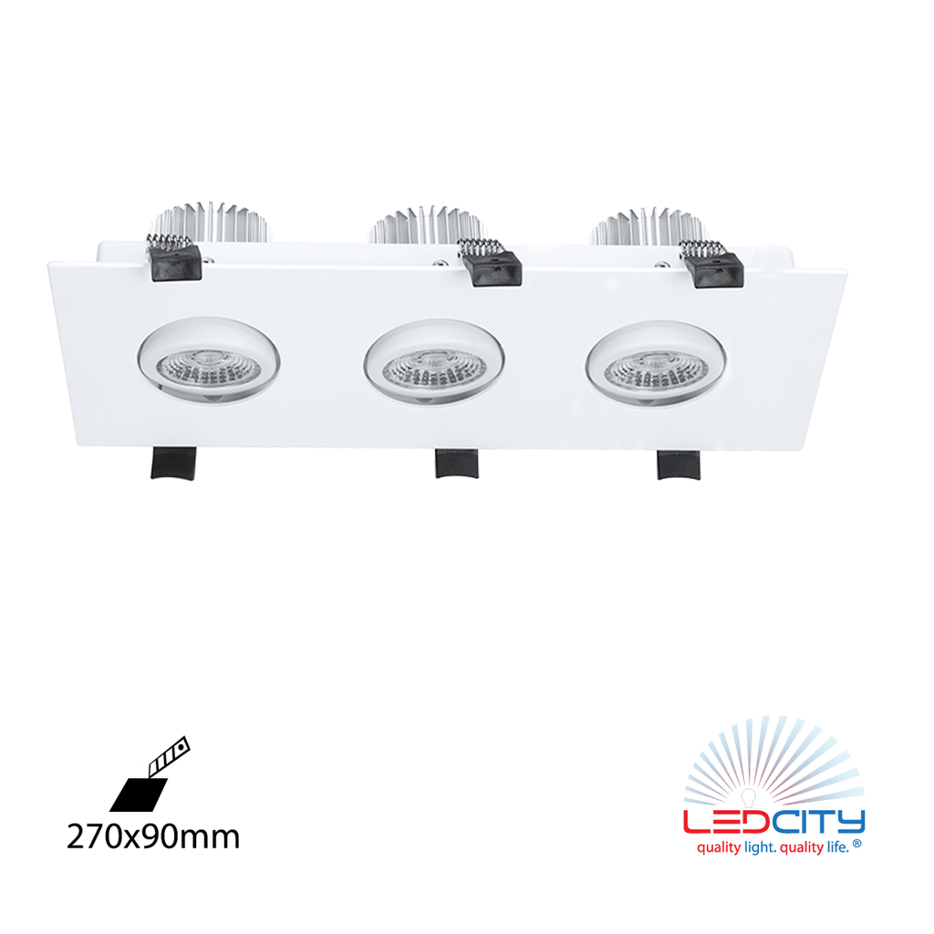 DL31 LED Downlight (Triple / 30W)