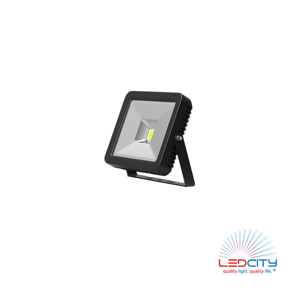 FL10 LED Flood Light (10W)