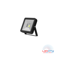 FL10 LED Flood Light (10W)