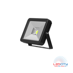 FL10 LED Flood Light (50W)
