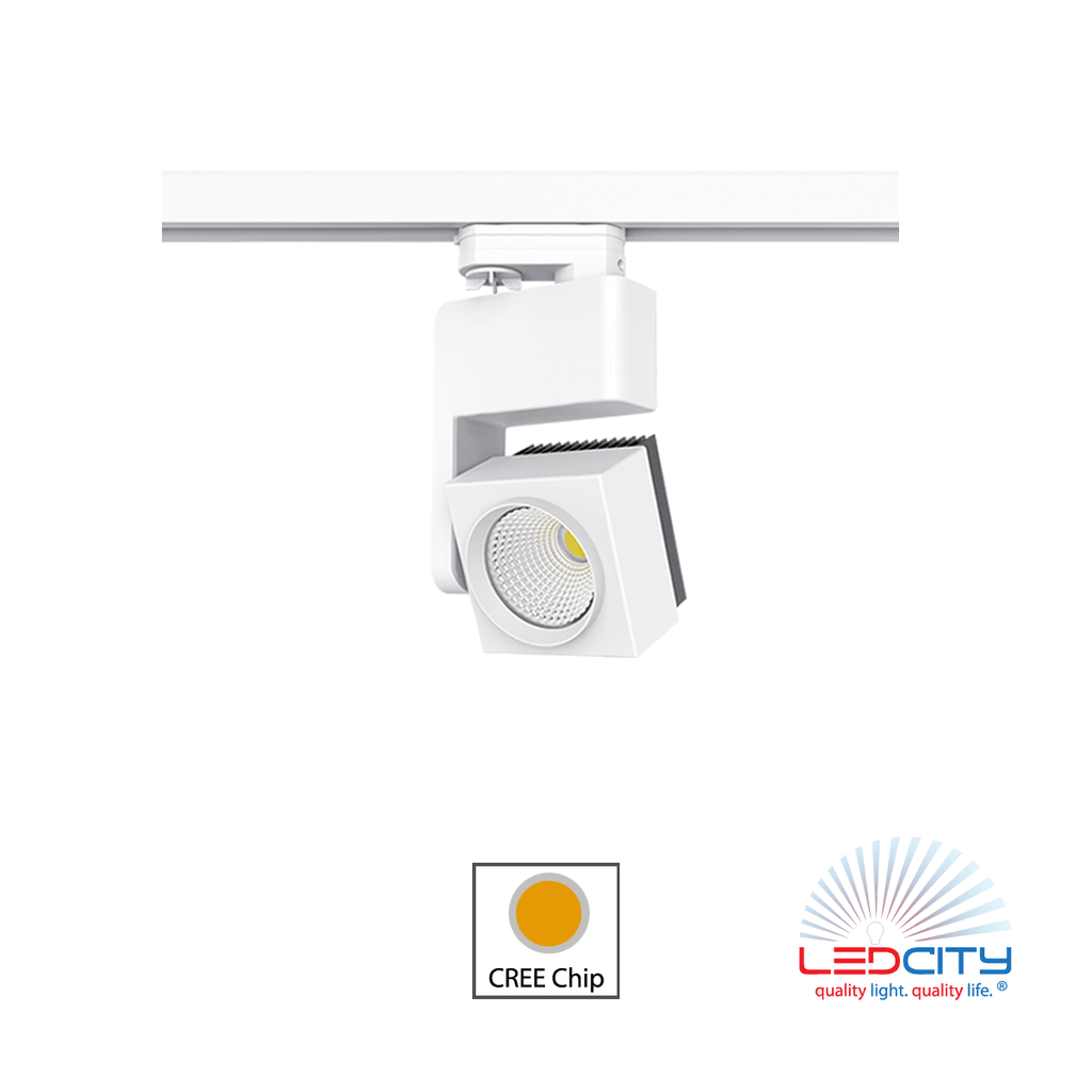 TL41 Track Light (25W)