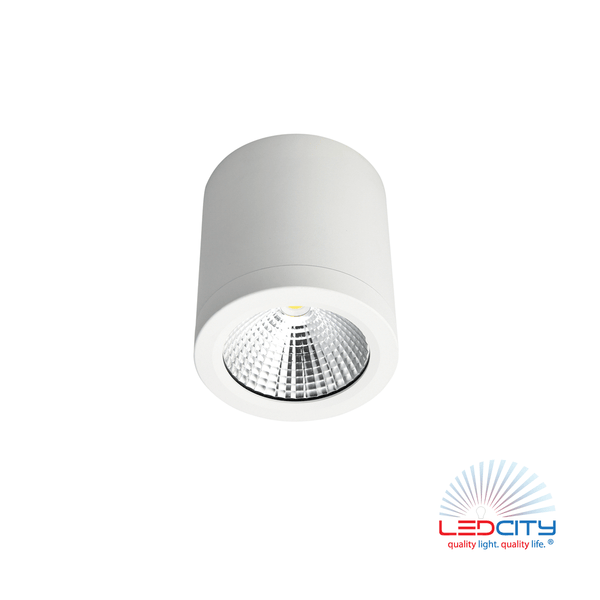 CL10 LED Ceiling Light (10W) | LEDCITY.ASIA