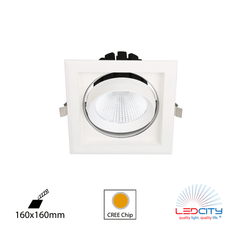 DL30 LED Downlight (Single / 30W)
