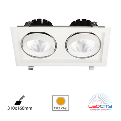 DL30 LED Downlight (Double / 60W)
