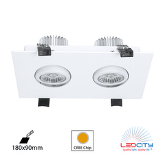 DL31 LED Downlight (Double / 20W)